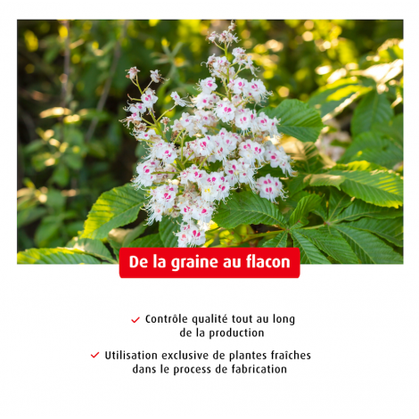 Extrait de Plante Fraîche de Marron d Inde A Vogel