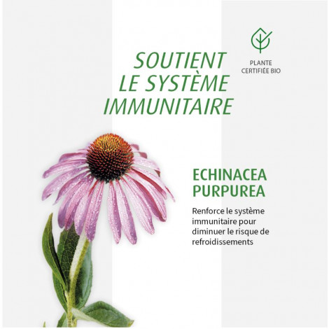 Echinaforce®Orange 120 comprimés