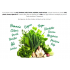 Herbamare®Sel Original*