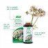 Valériane EPF®50ml