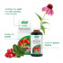 Complexe Santé Urinaire EPF®50ml