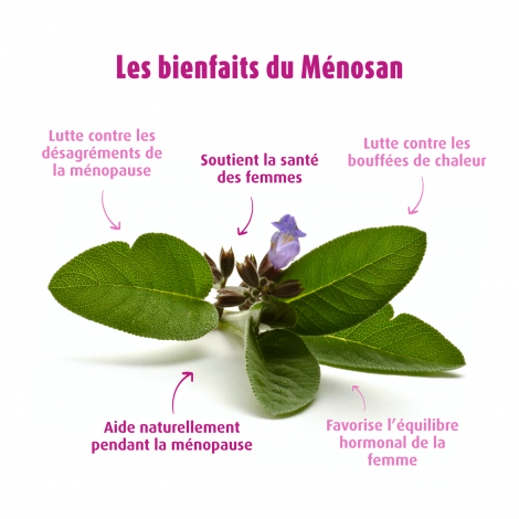 Cure Ménosan lot de 4 boîtes (3+1 offert)