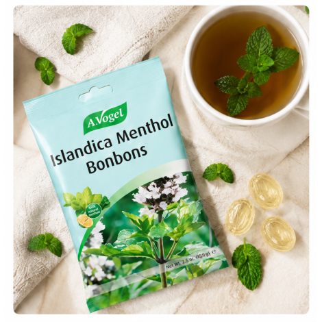 Bonbons Islandica Menthol® sachet 75gr