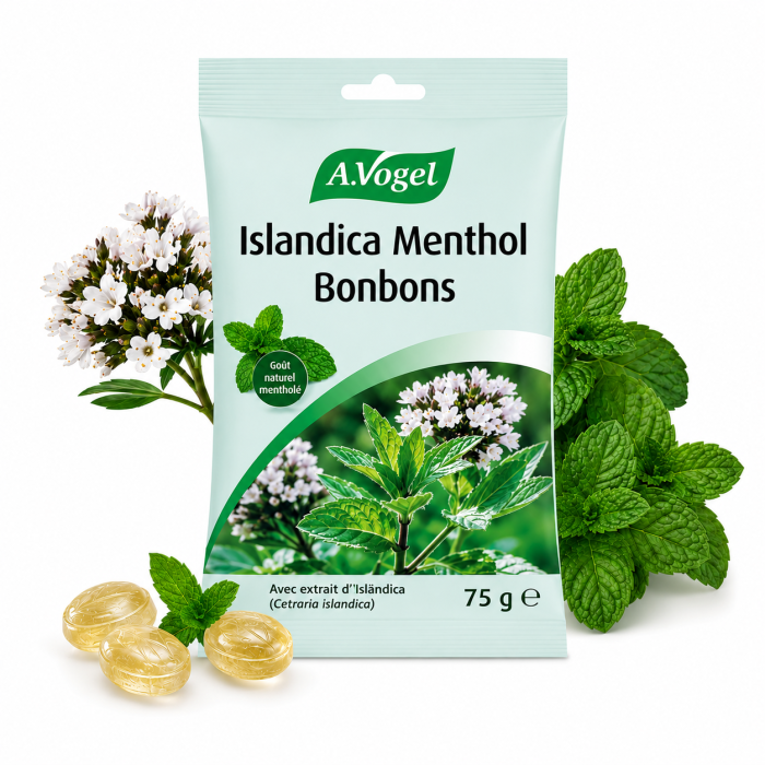 Bonbons Islandica Menthol® sachet 75gr