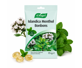 Bonbons Islandica Menthol® sachet 75gr