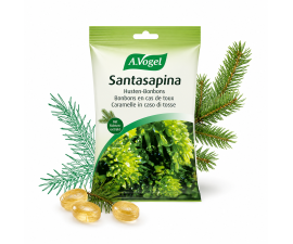 Bonbons Santasapina®sachet 100gr