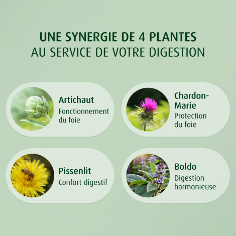 Complément Alimentaire Bio pour la Digestion | A.Vogel