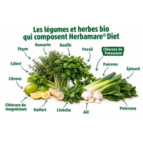 Herbamare® Diet | A.Vogel