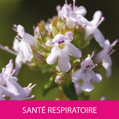 Thym EPF®50ml