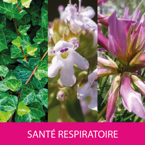 Complexe Bronchosan EPF®50ml