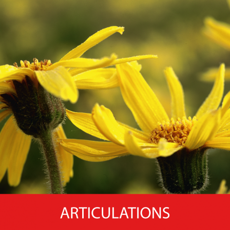 Gel à l'Arnica 100ml