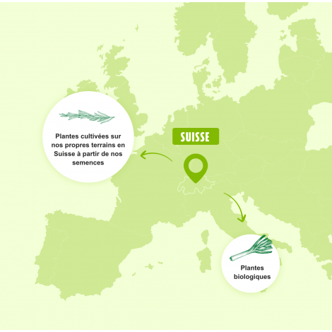 Herbamare®Cubes*Pauvre en sodium 76gr(8x9,5gr)