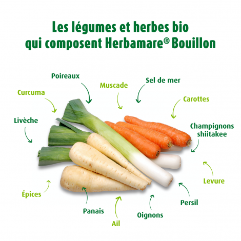 Herbamare®Cubes*88gr(8x11gr)