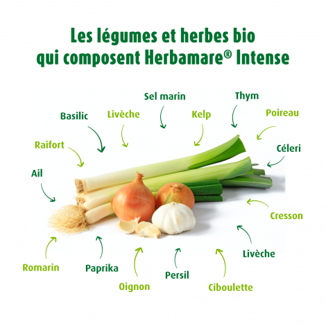 Herbamare®Sel Intense*250gr