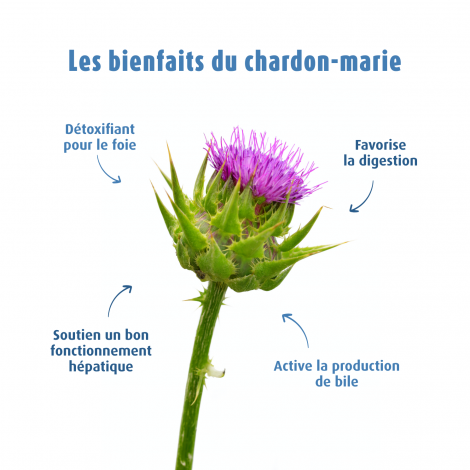 Chardon-Marie EPF®50ml