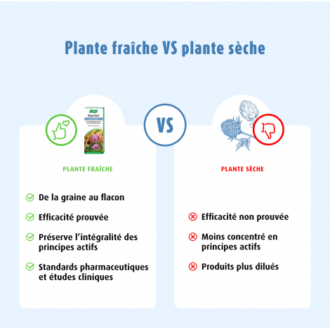 Complexe Digestion EPF®50ml