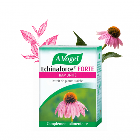 Echinaforce® Forte