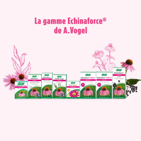 Echinaforce®Hot Drink 100ml