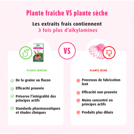 A.Vogel Echinaforce®Pastilles Gorge 20 pastilles