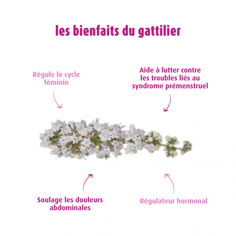 Gattilier EPF®50ml