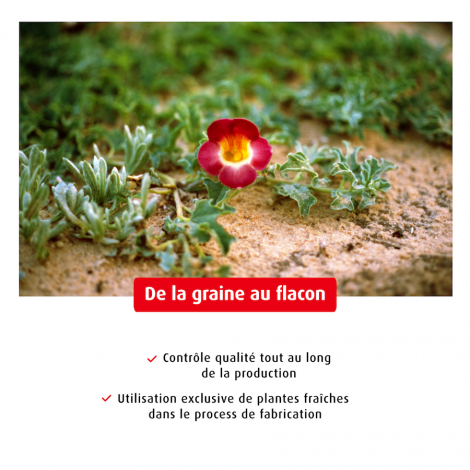 Harpagophytum EPF®50ml