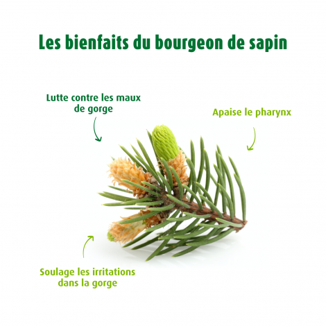 Bonbons Santasapina®Boîte 30gr