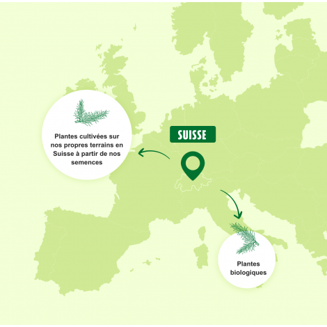 Bonbons Santasapina®Boîte 30gr