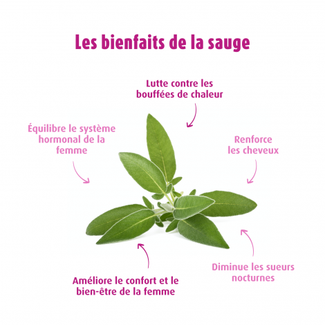 Sauge EPF®50ml