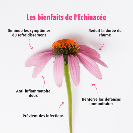 A.Vogel Echinaforce®Forte Immune 30 comprimés