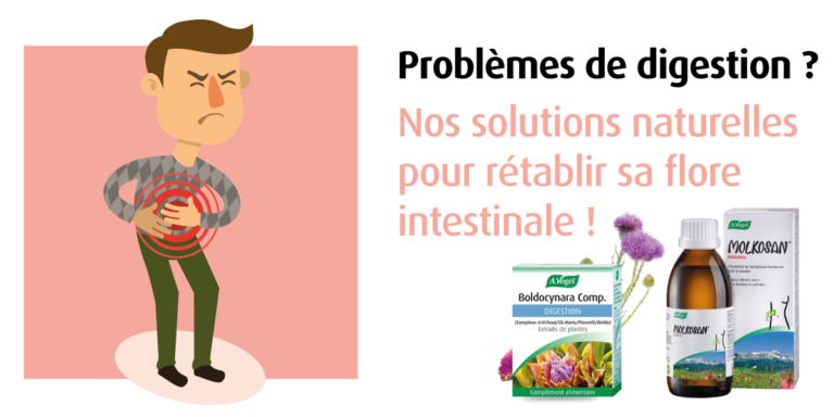 Comment Rétablir Sa Flore Intestinale?