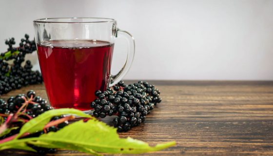 Hot Drink Sureau-Echinacea : un plaisir d’hiver pour renforcer son immunité