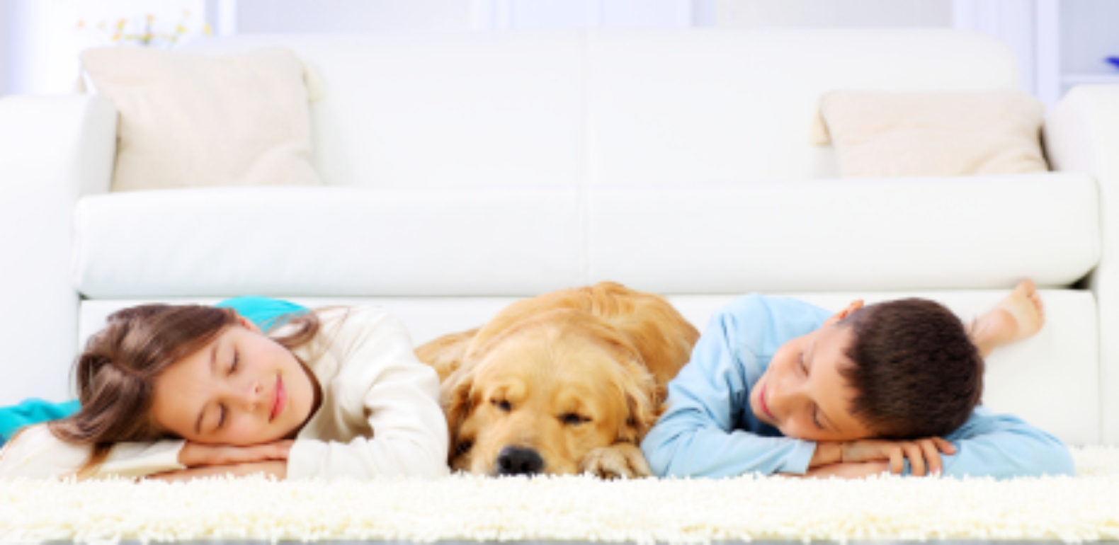 Comment profiter d’une sieste réparatrice ?