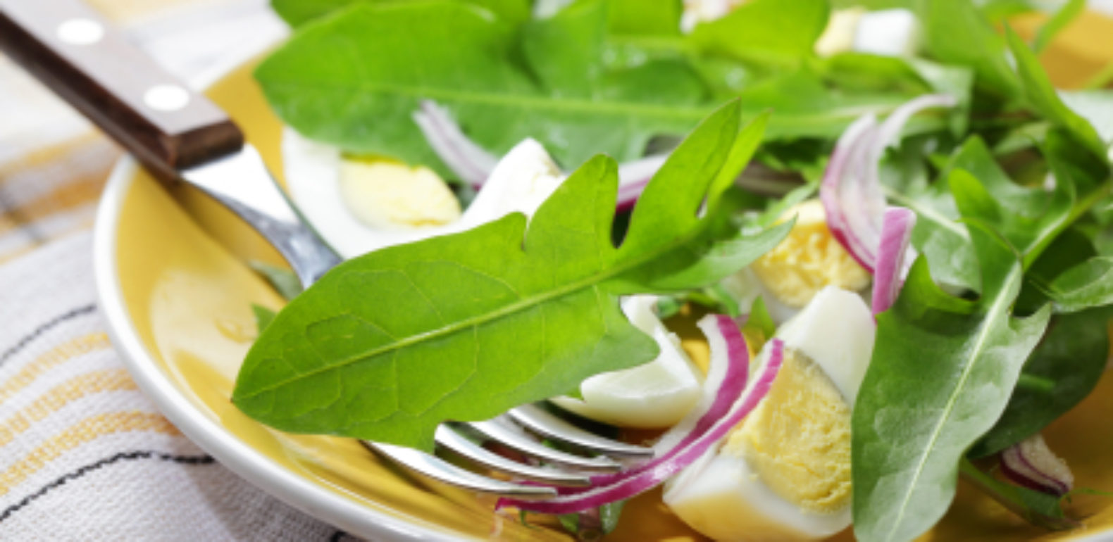 Pissenlit aux fines herbes