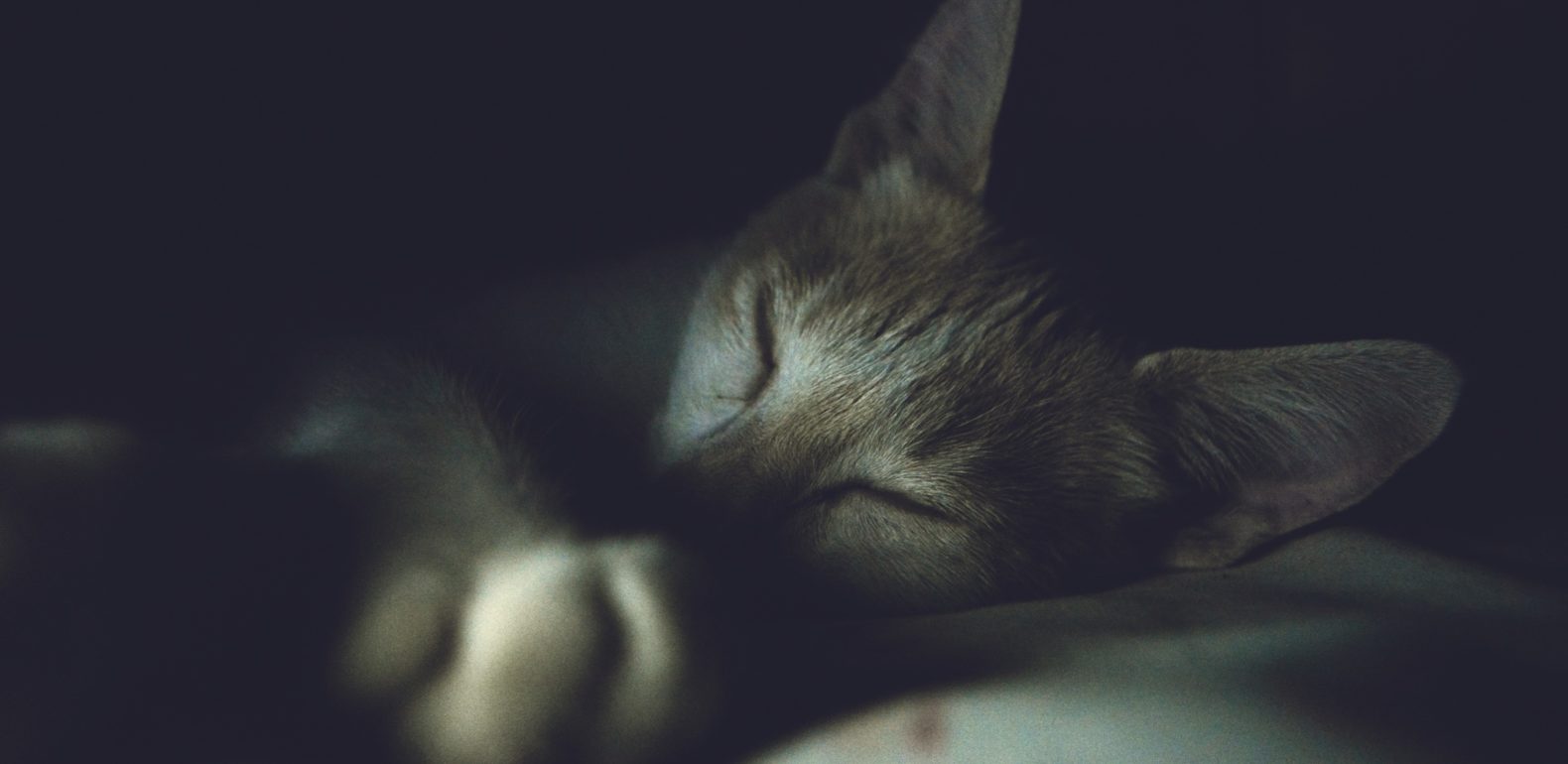 8 conseils pour bien dormir