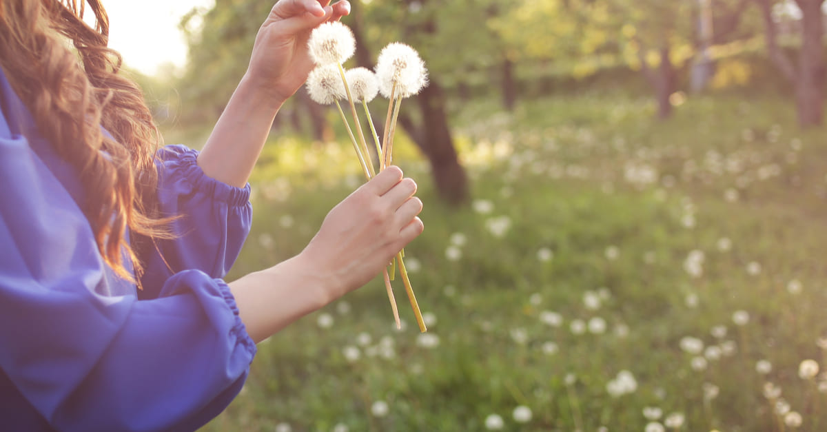 Préparez vos masques anti-allergies, le pollen va pulluler avec le