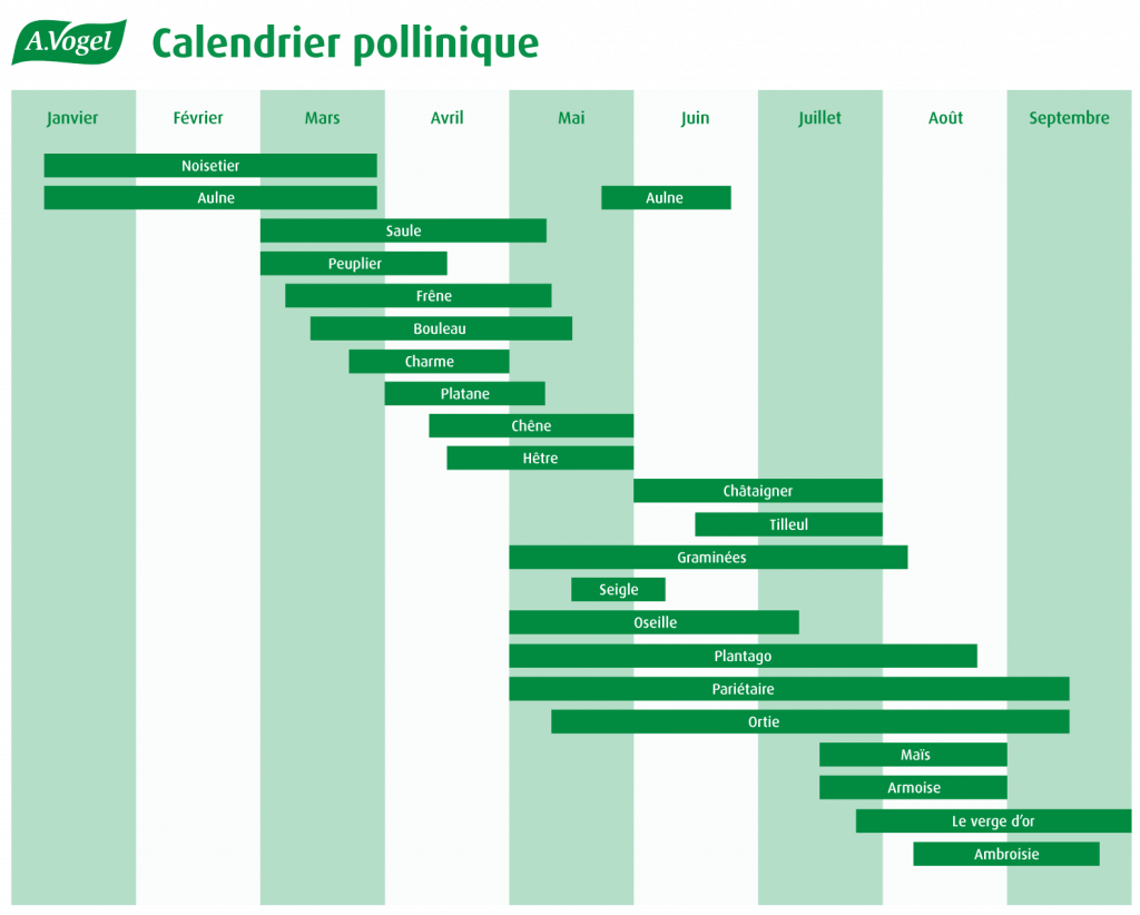 Calendrier Pollinique | A.Vogel