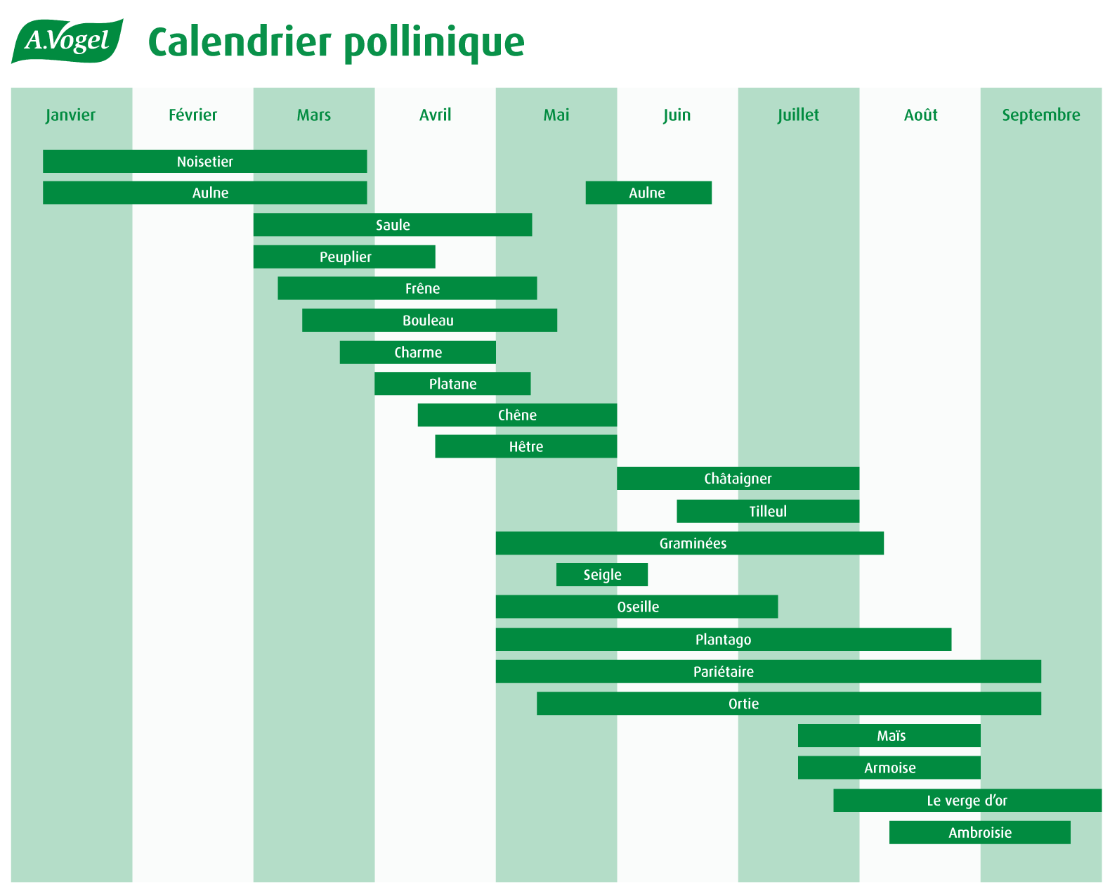 Alerte pollens consultez le calendrier pollinique A.Vogel