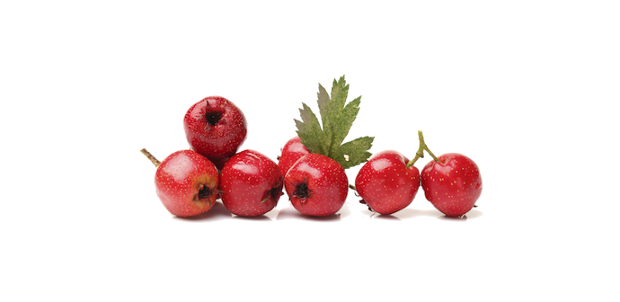 Aubépine