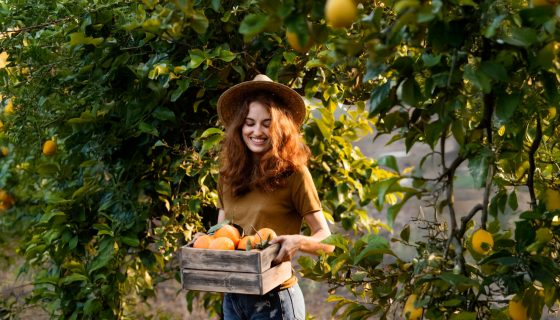 Le plein d’aliments pour booster votre énergie rapidement