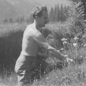 Alfred Vogel