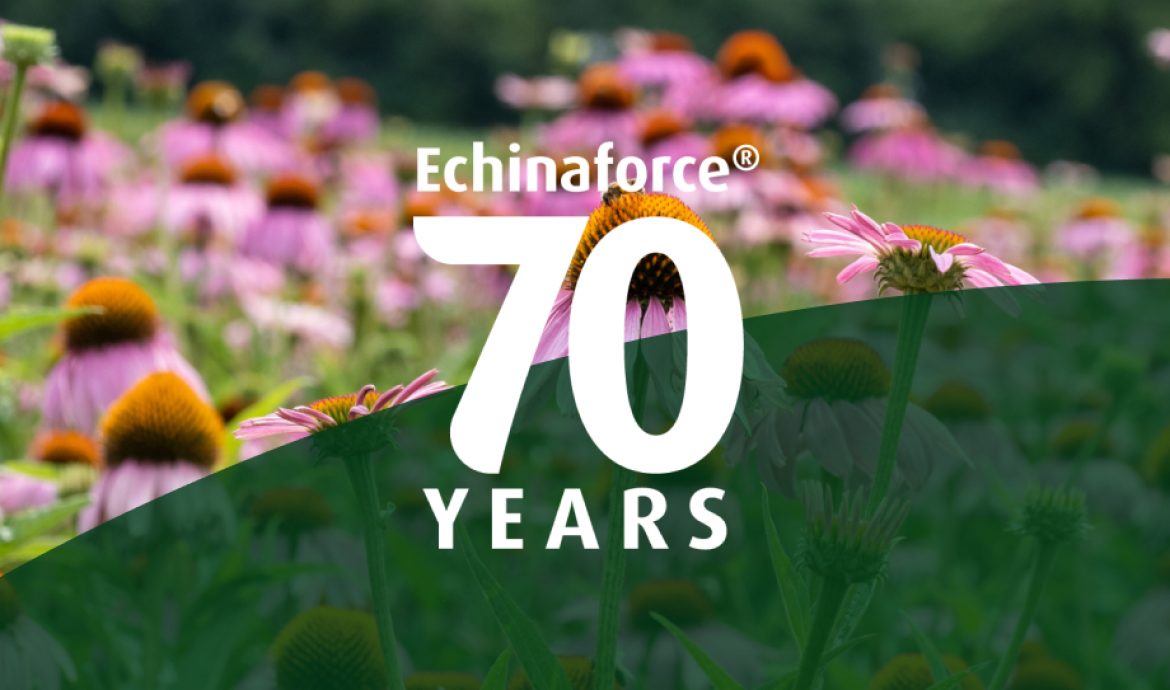 70 ans Echinaforce