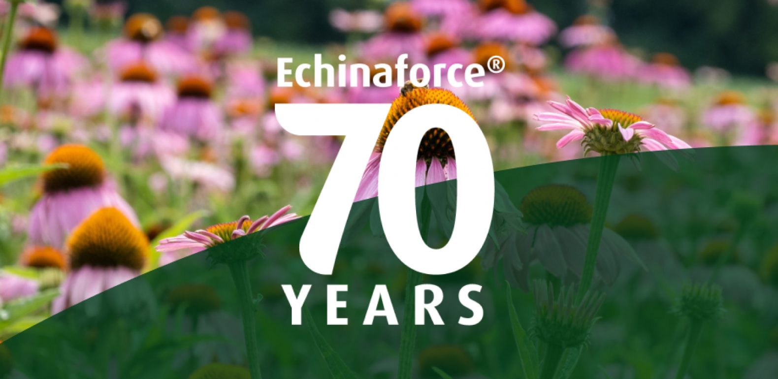 70 ans Echinaforce