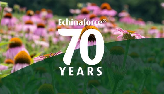 Echinaforce® fête ses 70 ans !