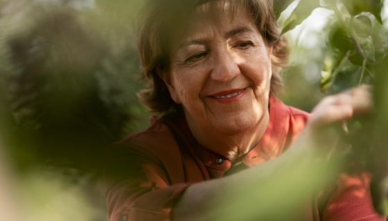Les plantes les plus efficaces pour accompagner la périménopause (et comment les choisir)