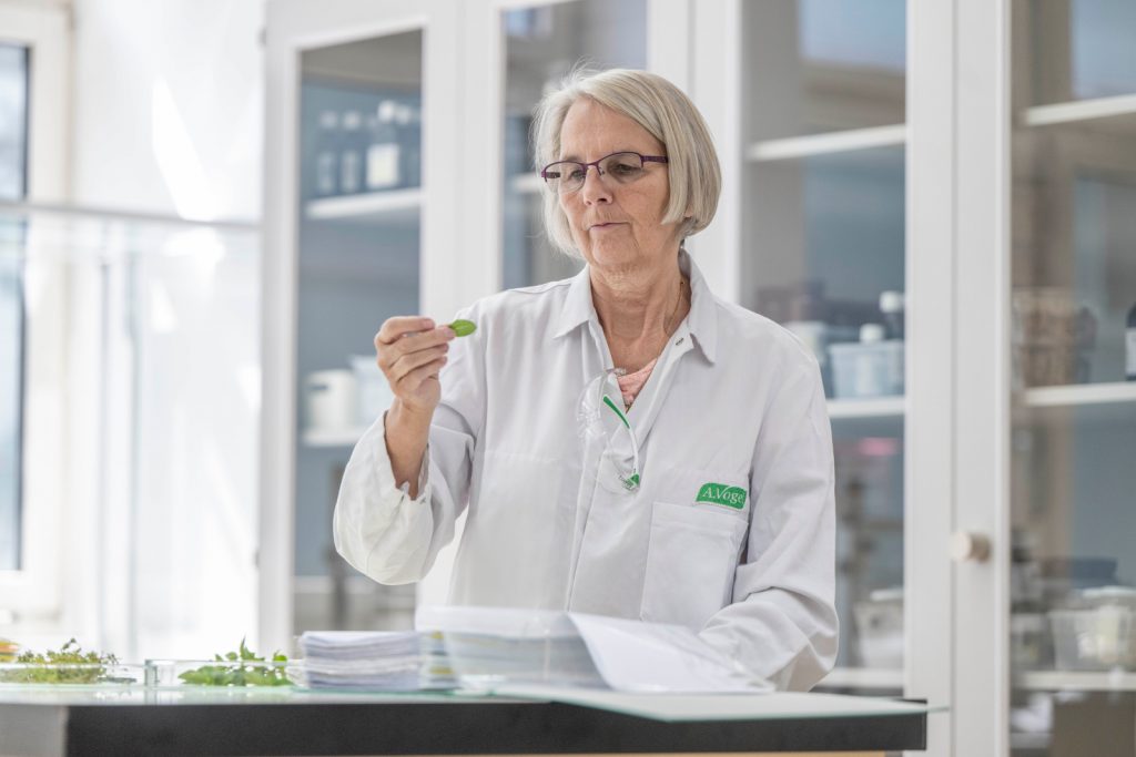 Contrôle de la sauge fraîche dans le laboratoire A.Vogel