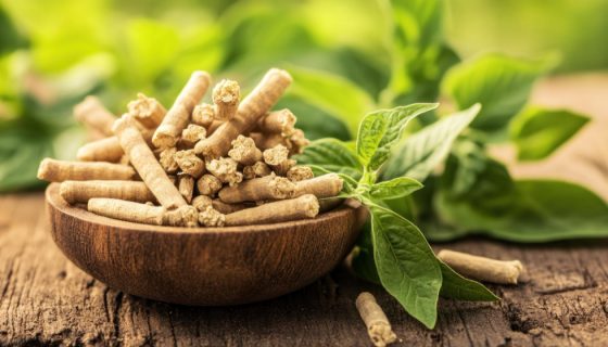 Quels sont les bienfaits de l&rsquo;ashwagandha pour réduire l&rsquo;anxiété ?