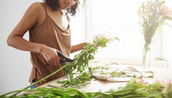Prendre soin de son estomac : pourquoi tout commence par la digestion