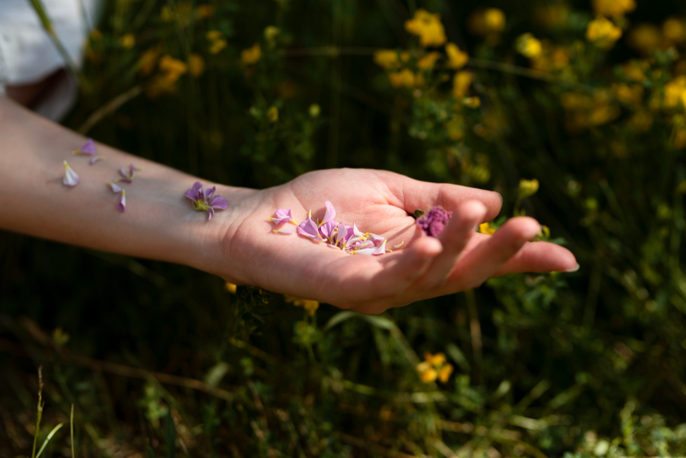 Main qui tient des fleurs